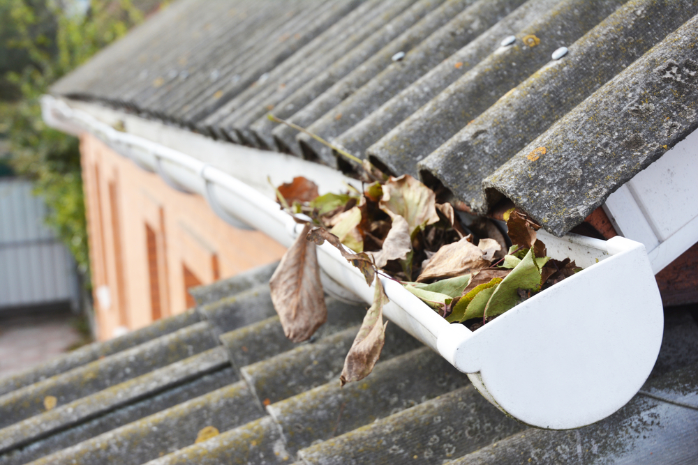 gutter cleaning image